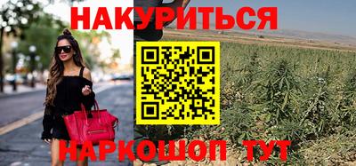 дмт Гудермес