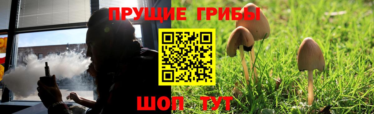 Северск  Псилоцибиновые грибы ЛСД  Вход с VPN 